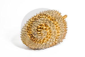 Single durian on the white background