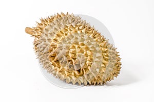 Single durian on the white background