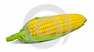 Single ear of corn with green leaves . Fresh corn on cob isolated on white background