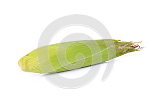 Single ear corn isolated on white