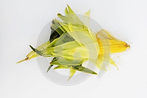 Single ear of corn isolated on white background as package design element.