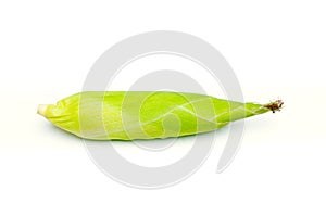 Single ear of corn isolated on white background. Fresh corn on cob