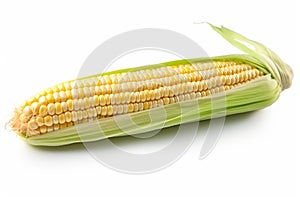 Single ear of corn isolated on white background