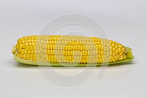 Single ear of corn isolated on white background. Isolated. Package design element. Sweet corn with husk