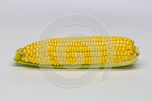 Single ear of corn isolated on white background. Isolated. Package design element. Sweet corn with husk
