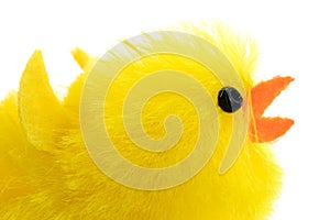 Single easter chick, isolated, close-up