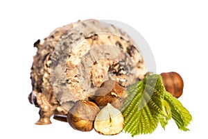 Single edible hazelnut - chocolate ice cream ball with nuts and hazelnut leaf isolated on white background - front view