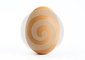 Jediný vajcia 