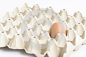 Single egg on a panel with isolated background