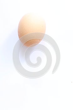 Single egg at white background