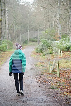 Single elderly woman walking alone in forest for good mental and physical health