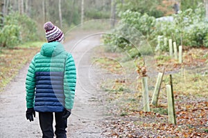 Single elderly woman walking alone in forest for good mental and physical health