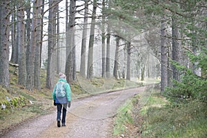 Single elderly woman walking alone in forest during lockdown for good mental and physical health