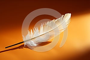 A single feather adds character to a plain sheet of paper