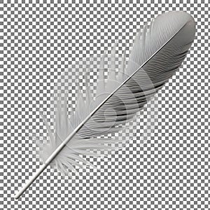 Single Feather on Checkered Background