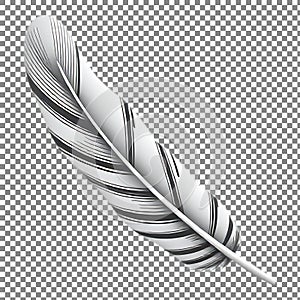 Single Feather on Checkered Background
