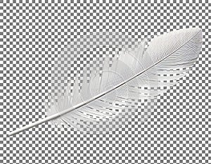 Single Feather on Checkered Background