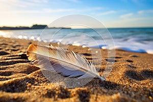 a single feather lying on a sandy beach