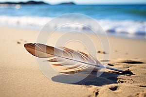a single feather lying on a sandy beach