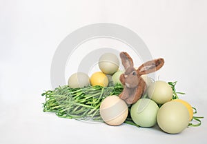 Single Felted Wool Bunny with Pale Colored Eggs on White Background