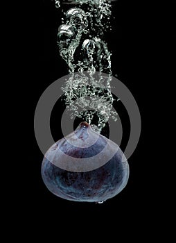 Single fig sinking in water isolated against black background