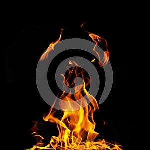 Single fire flame on black background