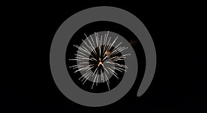 A single firework explodes against a dark night sky, creating a radial pattern with bright photo