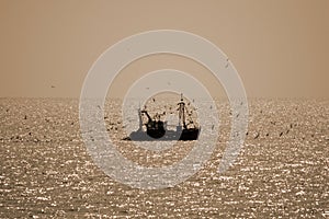 A single fishing boat contre jour