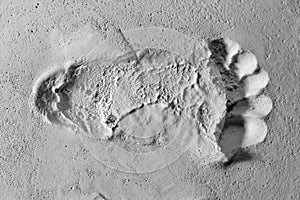 single Footprint impression on white sandy surface