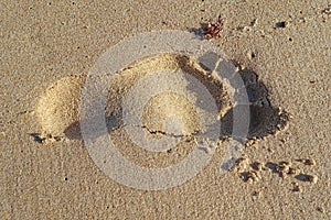 Single footprint in the sand