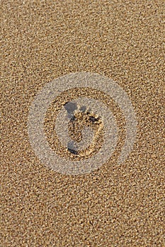 Single footprint in the sand