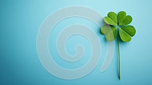 A Single Four Leaf Clover On Blue Background