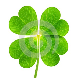 Single four-leaf clover with vibrant green leaves isolated on white