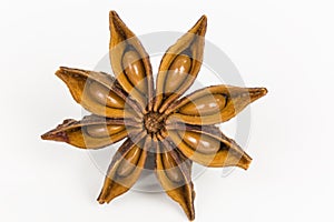 Star anise seed