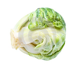 Single fresh brussels sprout cut out on white