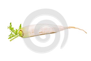 Single fresh daikon radish isolated on the white