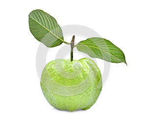 Single fresh guava fruit with green leaf isolated on white