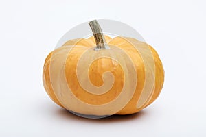 Single fresh orange miniature pumpkin isolated on white background