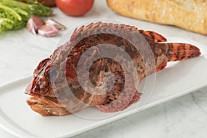 Fresh raw red scorpionfish photo