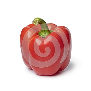 Single fresh red bell pepper