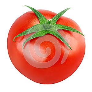 Single fresh red tomato on white