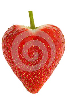 Single Fresh Ripe Plump Juicy Sweet Strawberries