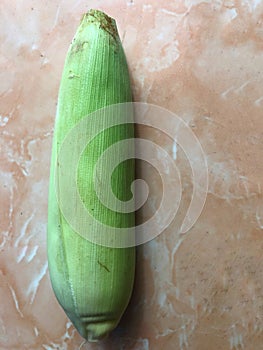 Single fresh sweet corn with a background of ceramic floor