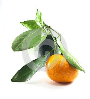 Single Fresh thai orange fruit with green leaf