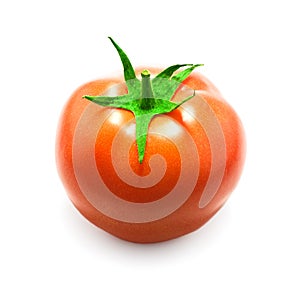 Single fresh tomato with shadow on white background