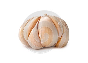 Single fresh white garlic bulb isolated on white background with clipping path, Thai herb is great for healing several severe photo