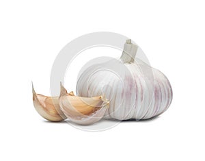 Single fresh white garlic bulb with segments isolated on white background with clipping path, Thai herb great for healing several photo