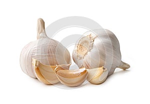 Single fresh white garlic bulb with segments is isolated on white background with clipping path, Thai herb great for healing