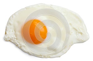 Single fried egg isolated