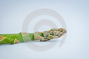 Single frozen asparagus stem on white background closeup